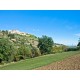 Properties for Sale_Farmhouses to restore_Ruin and an agricultural accessory for sale in Le Marche_32